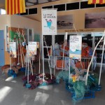 -setmana de la Ciència