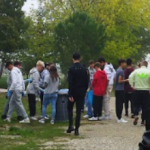 Captura recollint brossa