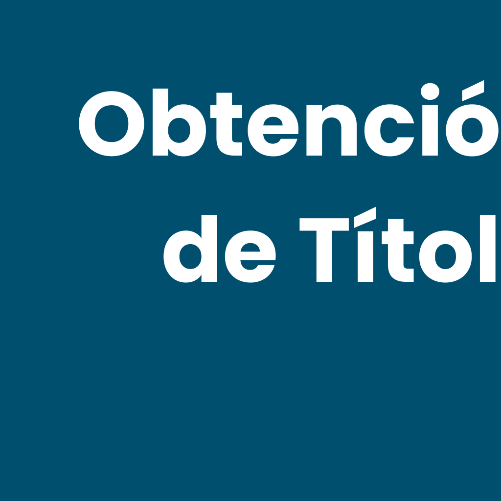 Descripción de la segunda imagen
